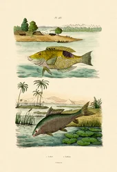 Wargacz, 1833-39